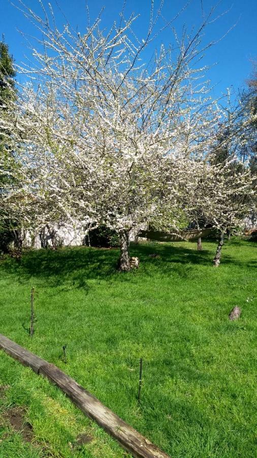 Privatunterkunft Twin Pines Pilgrims Arzúa